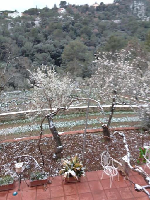 Cottage Eco-Friendly Barcelona Country Side La Garriga Exterior photo